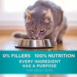 Comida para gatos para adultos