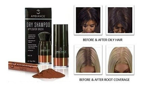 Paquete Combinado De Aplicador /recarga De Champú Seco