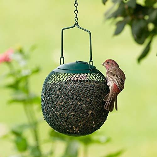 Comedero Para Pájaros Con Bola