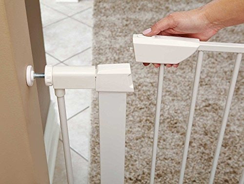 Casas para Perros