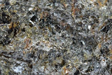 Espécimen de esquisto  granate de mica metamorfica