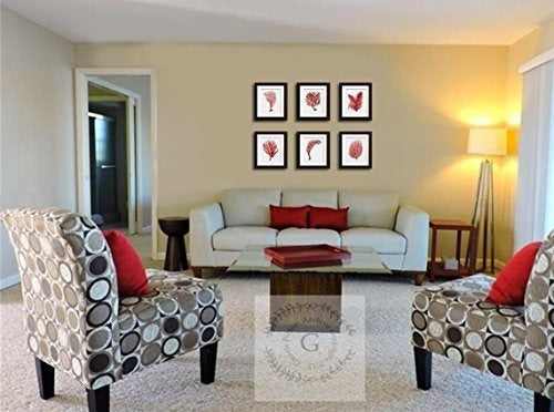 Red Sea Corals Beach Decor Set De 6 Impresiones Sin Marco
