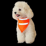 Set De 2 Bufanda Reflectante Para Perros Safety Pet