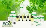 Amenidades Ecológicas Tamaño Del Viaje 1.1oz Gel De Baño