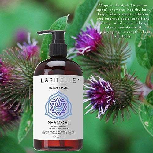 Laritelle Organic Champú Hipoalergénico Sin Perfume 17.5 Oz