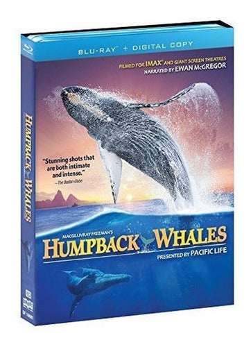 pelicula en blu ray  de  Ballenas Jorobadas