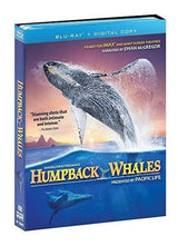 pelicula en blu ray  de  Ballenas Jorobadas