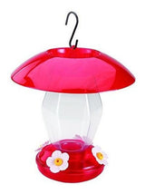 comederos para pájaros comederos para colibríes