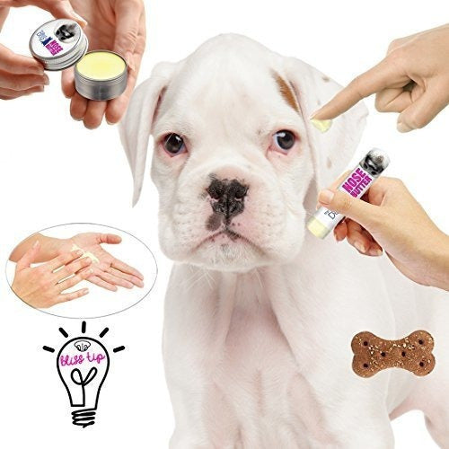Mantequilla de nariz de perro para nariz de perro seca