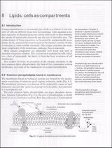Fundamentos De La Biología Química (oxford Chemistry