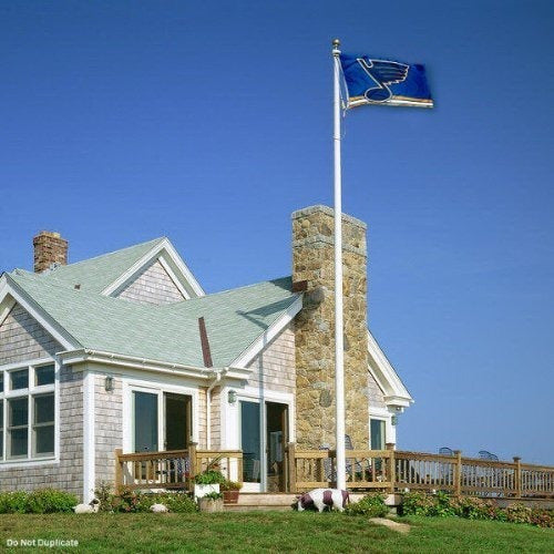 St. Louis Blues Bandera 3 x 5 Banner