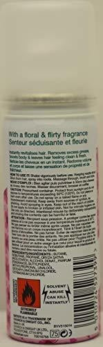 Dry Shampoo - Rubor Floral Y Afrutado 1.6oz