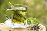 Hoja De Ortiga Orgánica