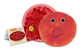 Microbios Gigantes 5-7 Microbio Eritrocítico Glóbulo Rojo