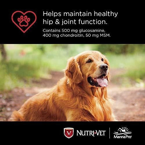 Cadera Y Articulación Masticables Para Perros