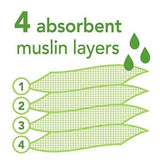Brotes Verdes Muselina Baberos Hechos De Algodón Orgánico,