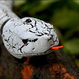 Juguete de serpiente