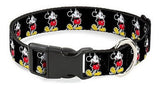 Collar De Gato Con Hebilla Desplegable - Pose Clásica De