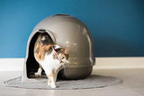 Caja de arena para gatos 3 colores
