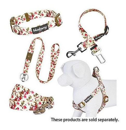 correas para perros