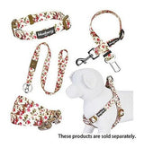 correas para perros
