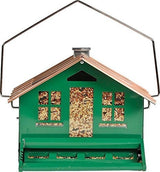 Aves Alimentadores