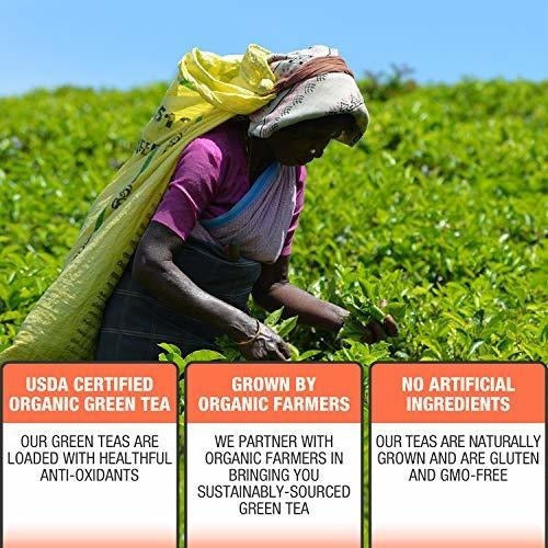 50 bolsas de té, té gourmet de baja cafeína