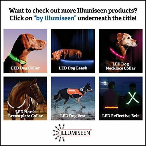 Correa Led Para Perros - Usb Recargable