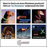 Correa Led Para Perros - Usb Recargable