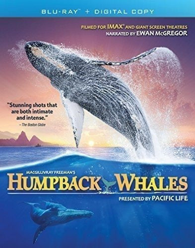 pelicula en blu ray  de  Ballenas Jorobadas