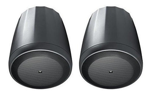 Altavoz Colgante Compacto De Rango Completo