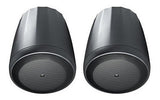 Altavoz Colgante Compacto De Rango Completo