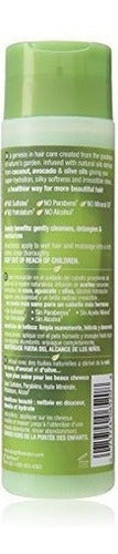 champú hidratante derivado de plantas