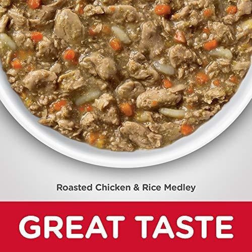 comida saludable para gatos