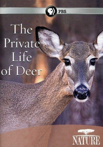 DVD de Naturaleza La Vida Privada De Los Ciervos