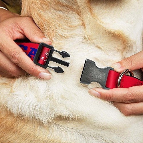 Cierre Con Hebilla Pc-w30021-nl, Collar De Plástico Con Clip