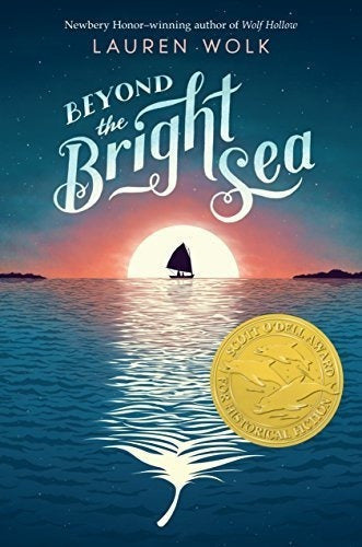 Más Allá Del Mar Brillante libro