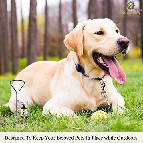 Estaca de amarre para perros de hasta 80 libras