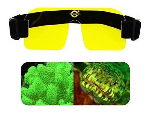 Linterna Kit Amarillo Fluorescencia