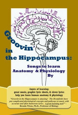 Groovin En El Hipocampo