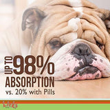 Piel Y Alergia Para Perros Abrigo Brillante