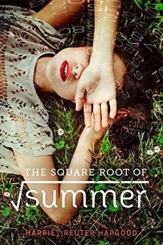 La Raíz Cuadrada Del Verano libro