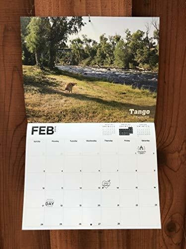 Calendario 2019 De La Mordaza Del Elefante Blanco