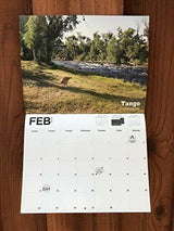 Calendario 2019 De La Mordaza Del Elefante Blanco