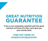 Purina Pro Plan Focus Kitten Favoritos Paquete De Alimentos