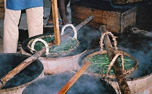 25 granos de vainilla grado B de extracto de Tahití 4 6