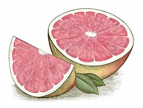 Hidratante  Labial  de balsamo