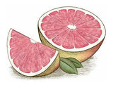 Hidratante  Labial  de balsamo