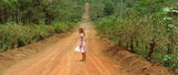 Material Blanco The Criterion Collection blu-ray