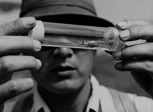 Mujer En Las Dunas (The Criterion Collection) [blu-ray]